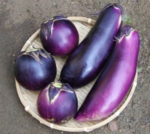紫の野菜 なす