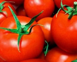 赤い野菜 トマト