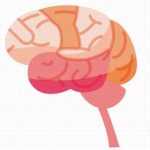 レビー小体型認知症の進行速度は？